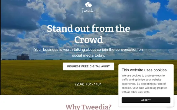 img of B2B Digital Marketing Agency - Tweedia Social Media